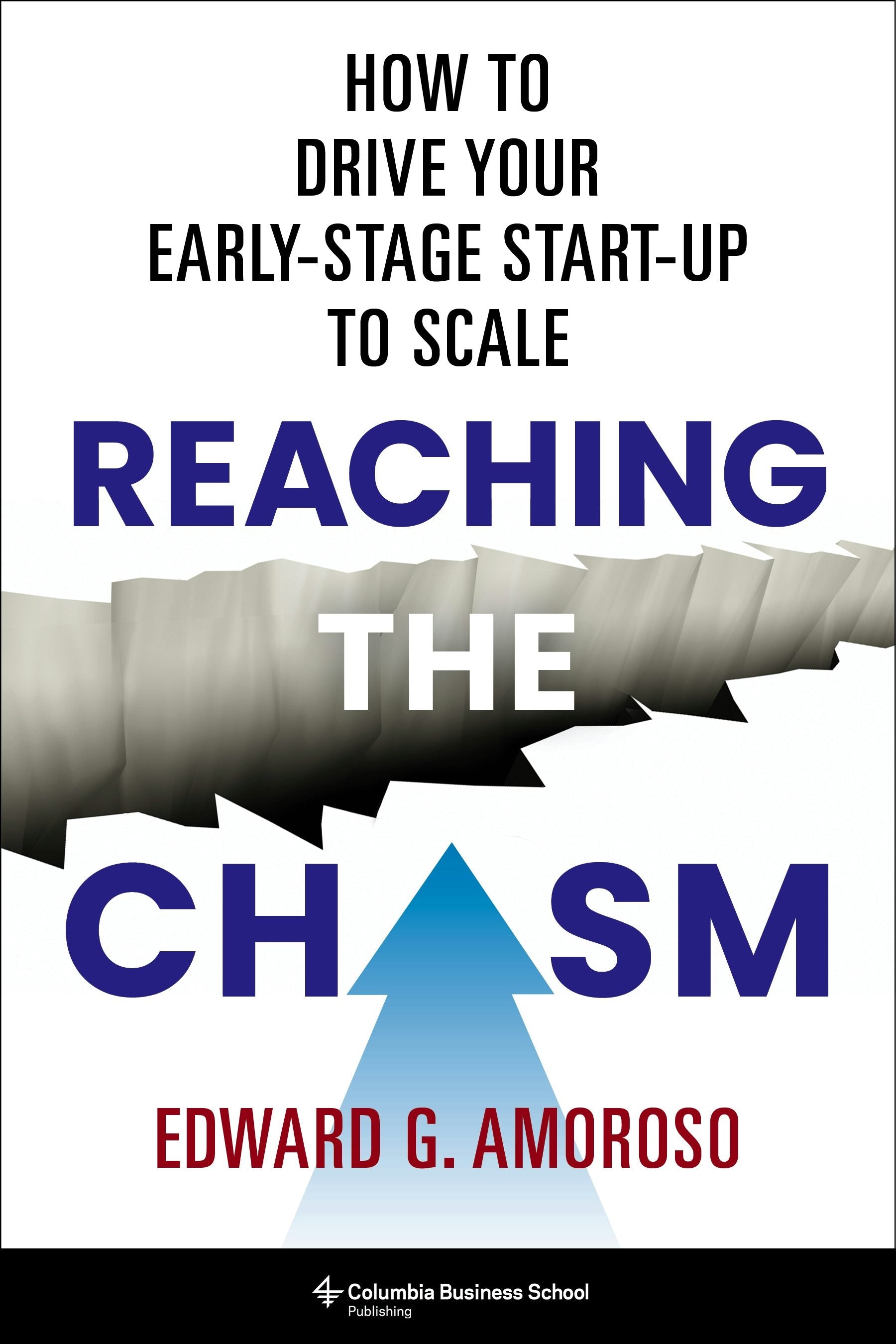 Book cover image for Reaching the Chasm ISBN: 9780231219839